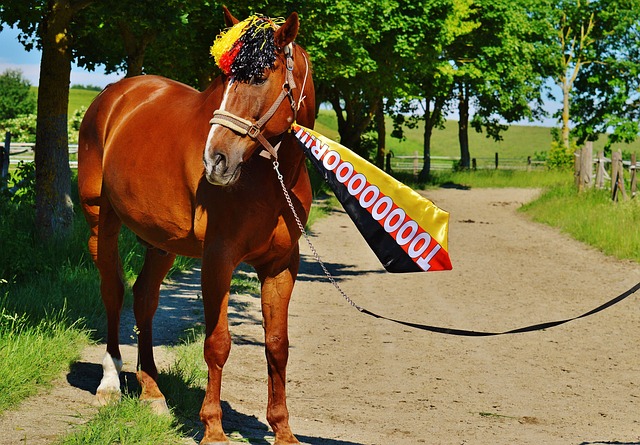 给我们一个 给我们一个