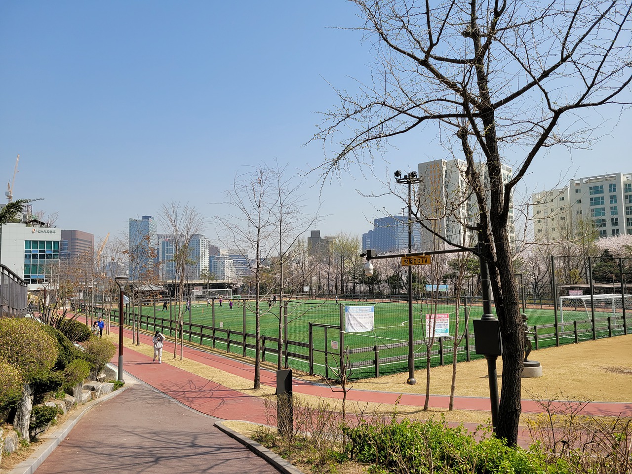 在这片山林 在这片山林