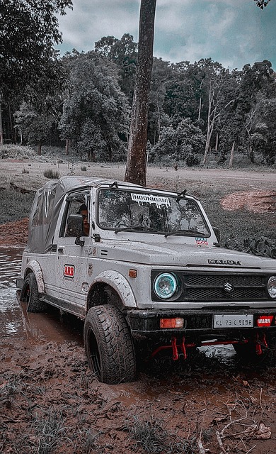 莫兰德表现火爆！广东宏远领先宁波8分.