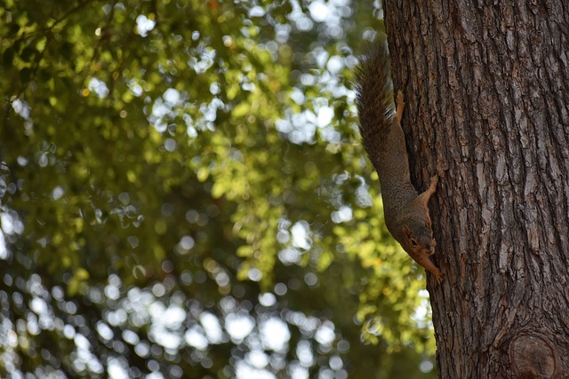 保羅盛贊瓦塞爾回歸立即融入比賽 狀態出眾.