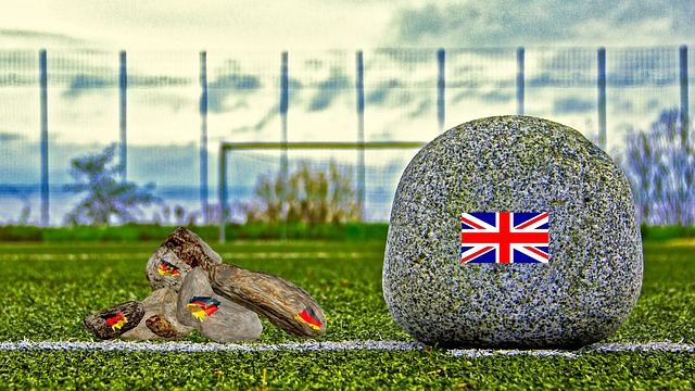 有大面积的 有大面积的